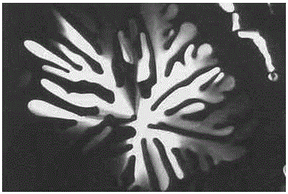 Cyanuric acid derivatives, discotic liquid crystal materials and detection methods for melamine