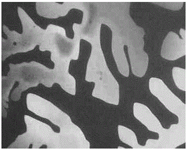 Cyanuric acid derivatives, discotic liquid crystal materials and detection methods for melamine