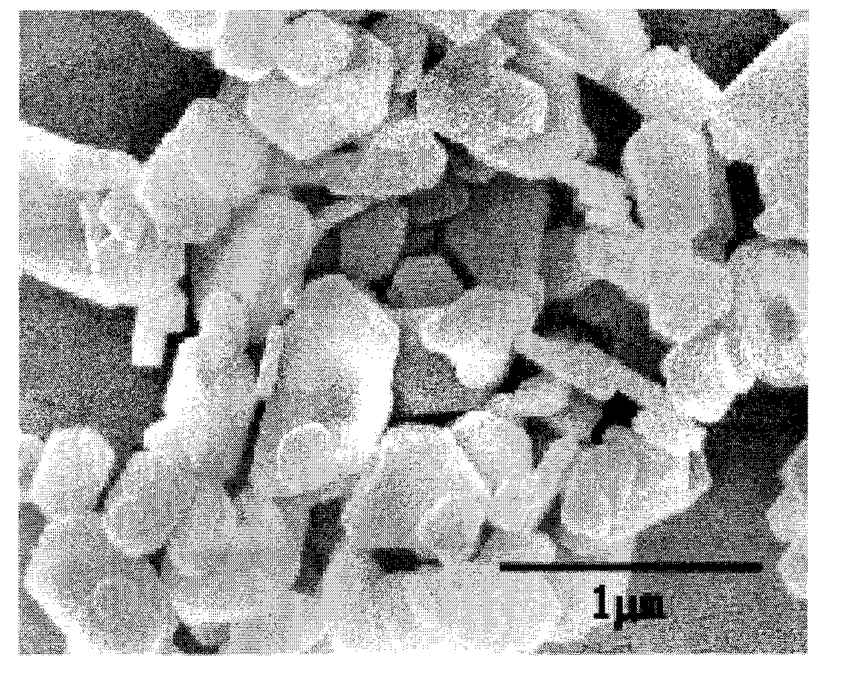 Method for preparing submicron lamellar magnesium hydroxide by intensifying alkali