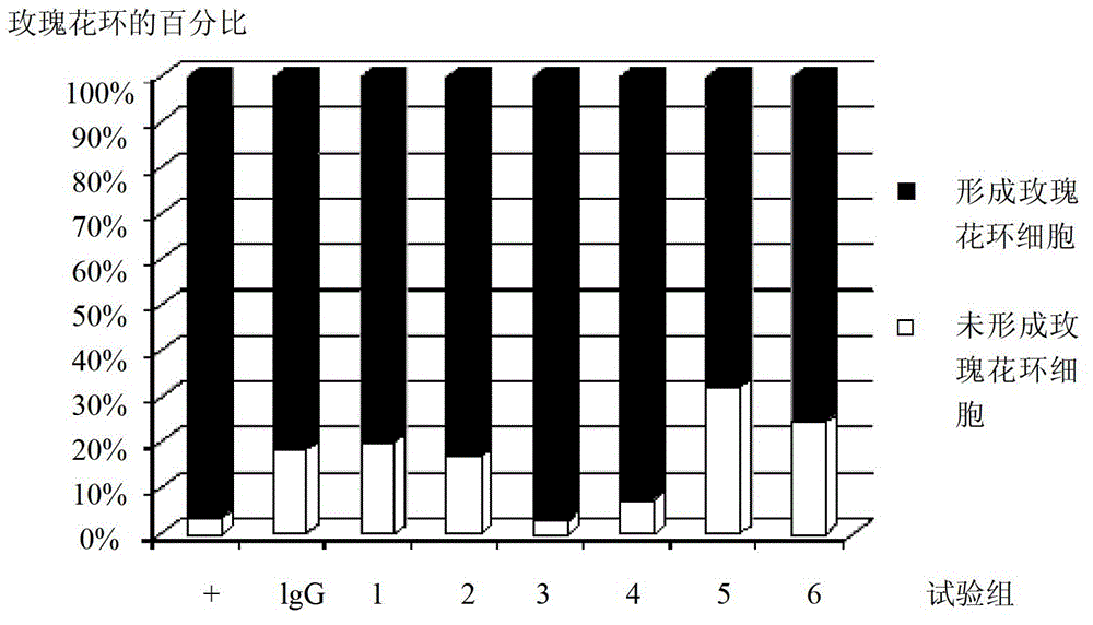 Short peptide and immunosuppressant containing the same and application