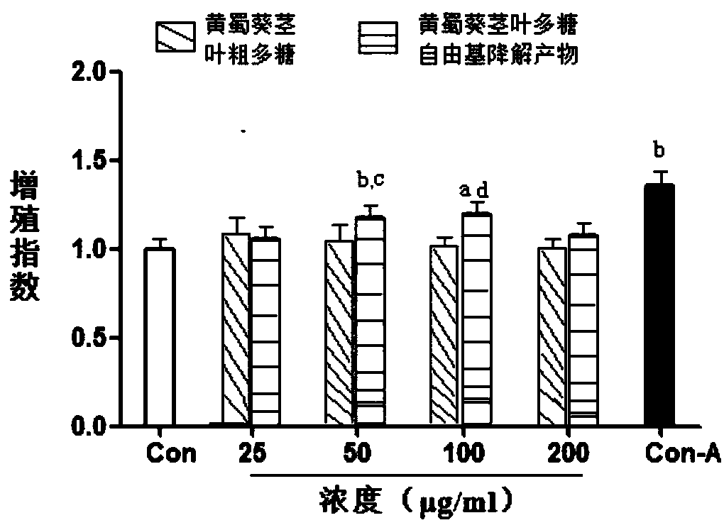 Free radical degradation product of hollyhock stem and leaf polysaccharide with enhanced immune activity and preparation method thereof