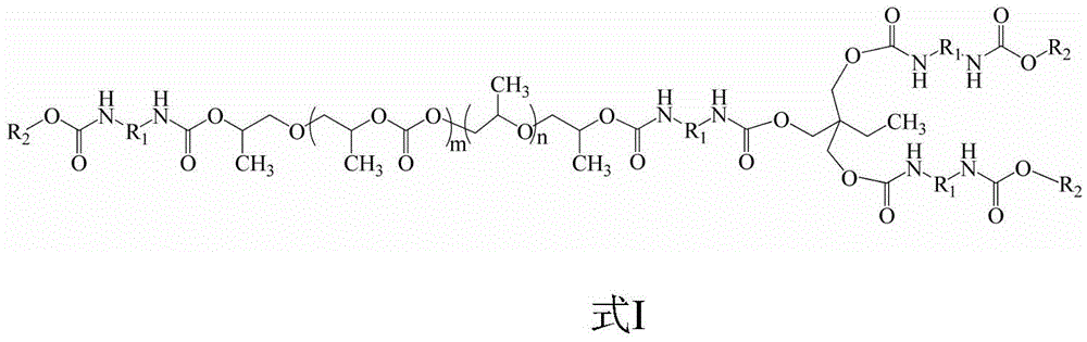 Poly(carbonate-ether) polyurethane resin and preparation method thereof and leather pulp