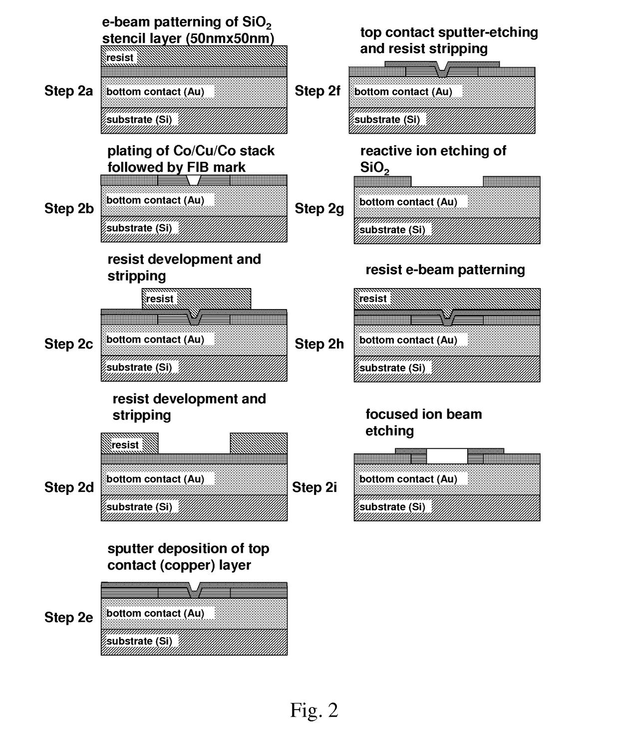 Nanomagnetic detector array for biomolecular recognition