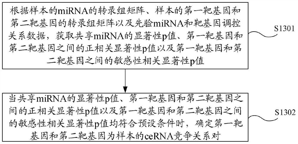 Single-sample ceRNA network identification method and device, electronic equipment and storage medium