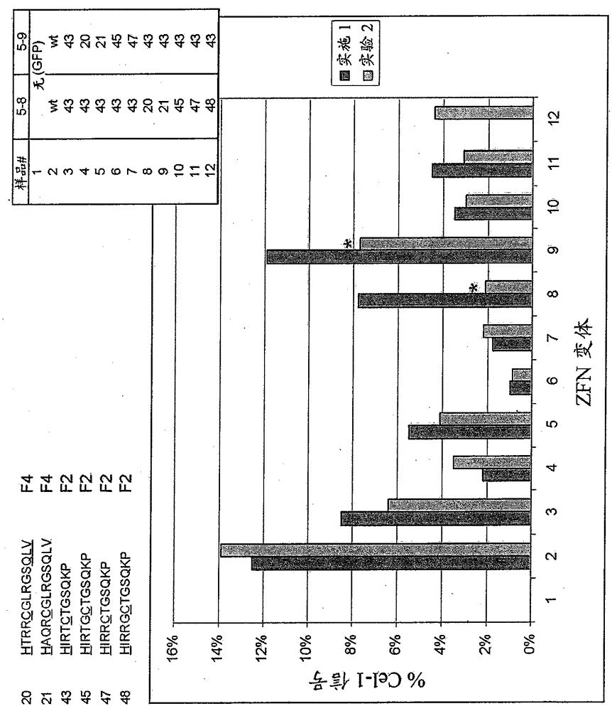 Optimized non-canonical zinc finger protein