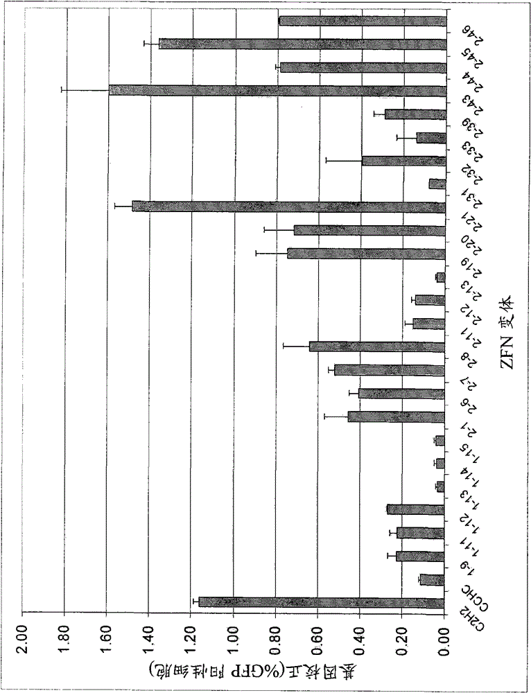 Optimized non-canonical zinc finger protein