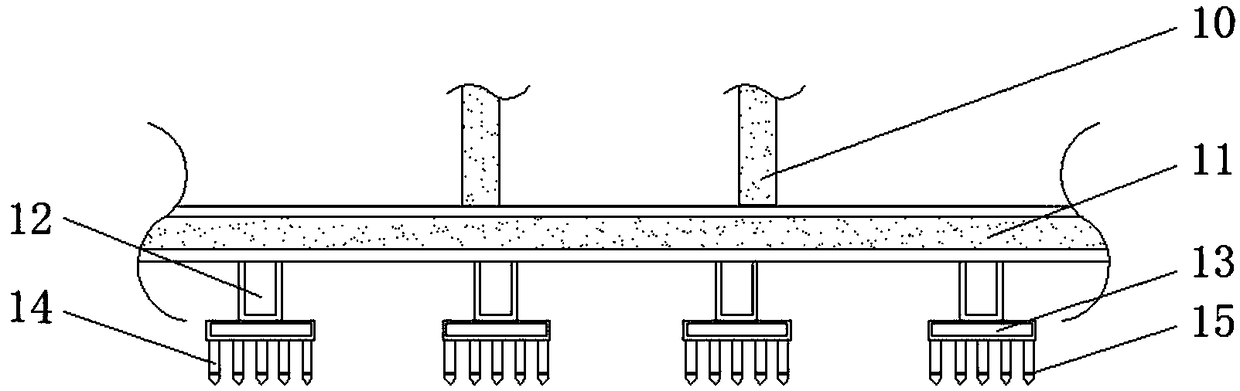 Culture device for fast propagation of blueberries