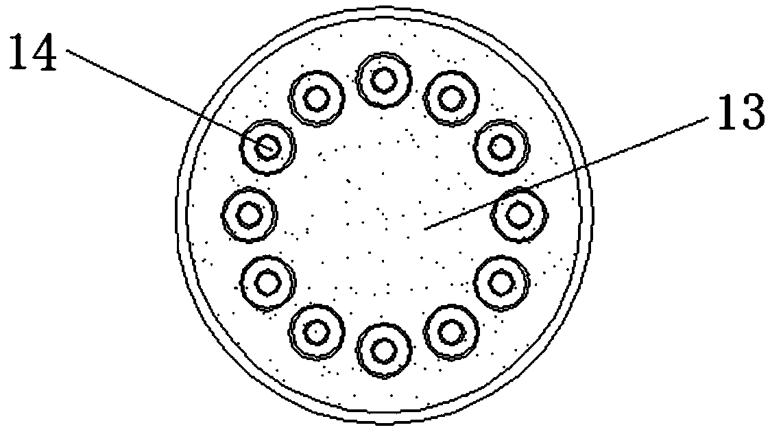 Culture device for fast propagation of blueberries