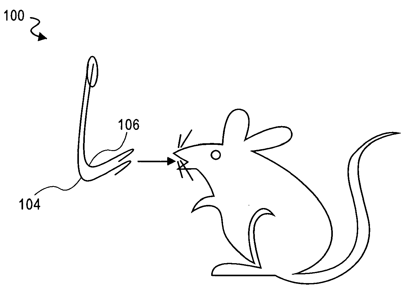 Collection Assembly for Obtaining Oral Samples From an Animal