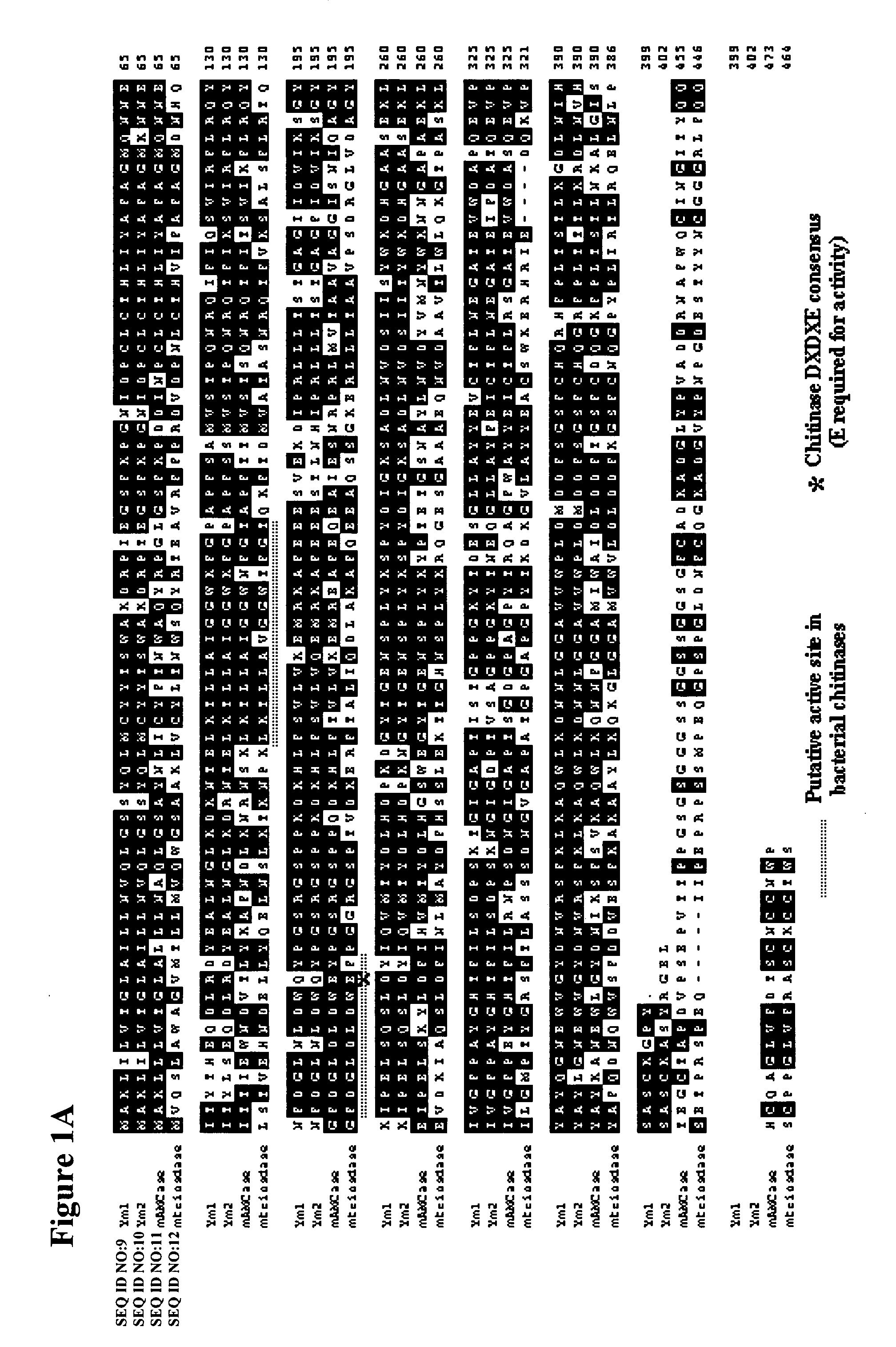 Methods and compositions relating to chitinases and chitinase-like molecules and modulation of osteoclasts