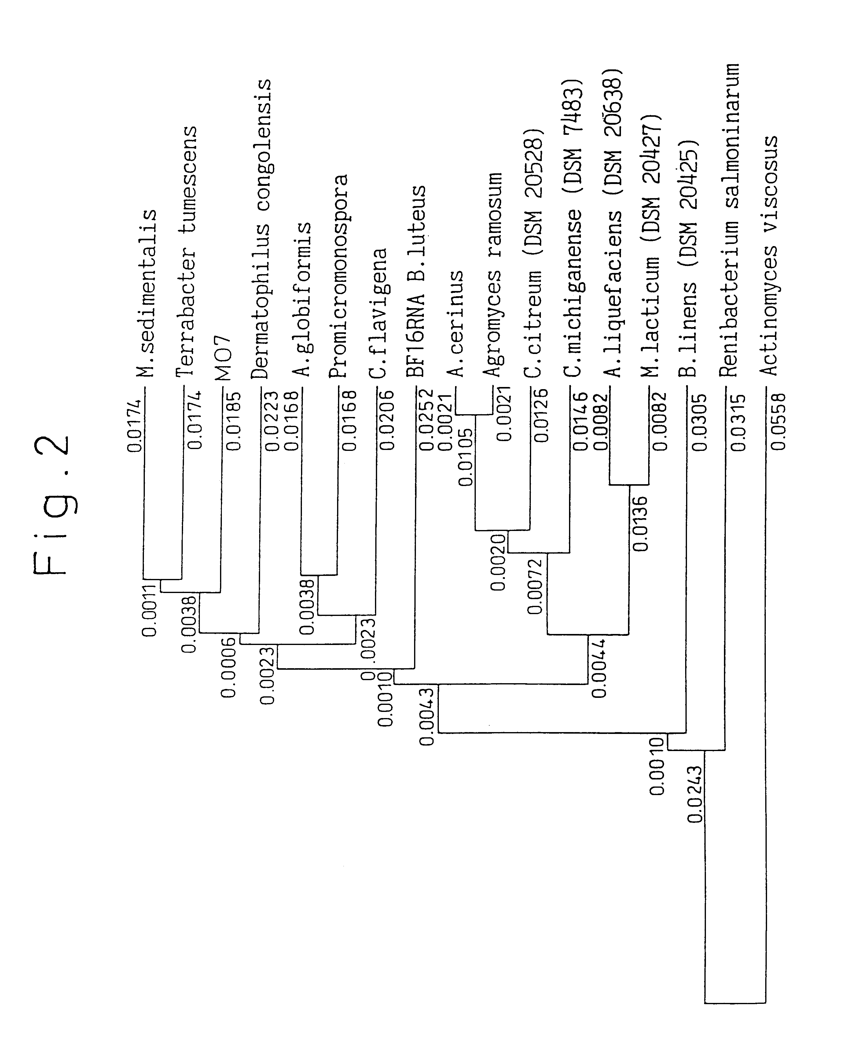 Microorganism and method for environmental purification using the same