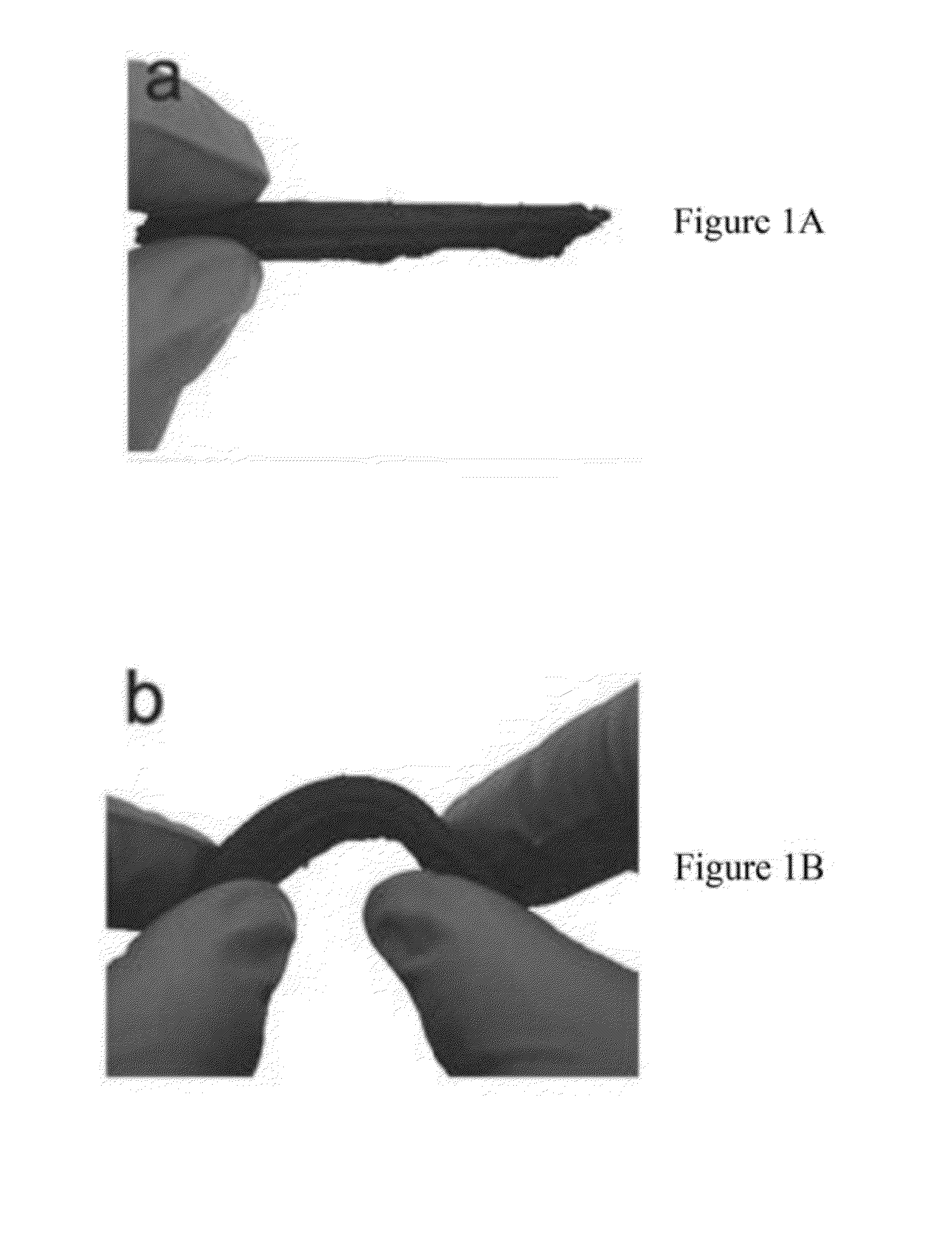 Methods of synthesizing three-dimensional heteroatom-doped carbon nanotube macro materials and compositions thereof
