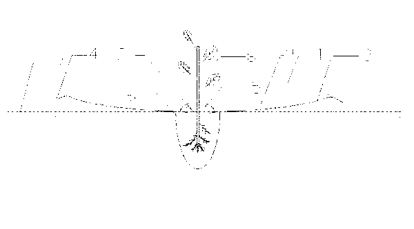 Method for planting trees with soil and film composite drought resistance tree-planting hopper