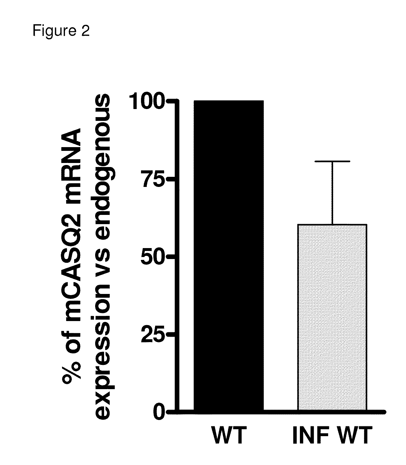 Method of Gene Transfer for the Treatment of Recessive Catecholaminergic Polymorphic Ventricular Tachycardia (CPVT)