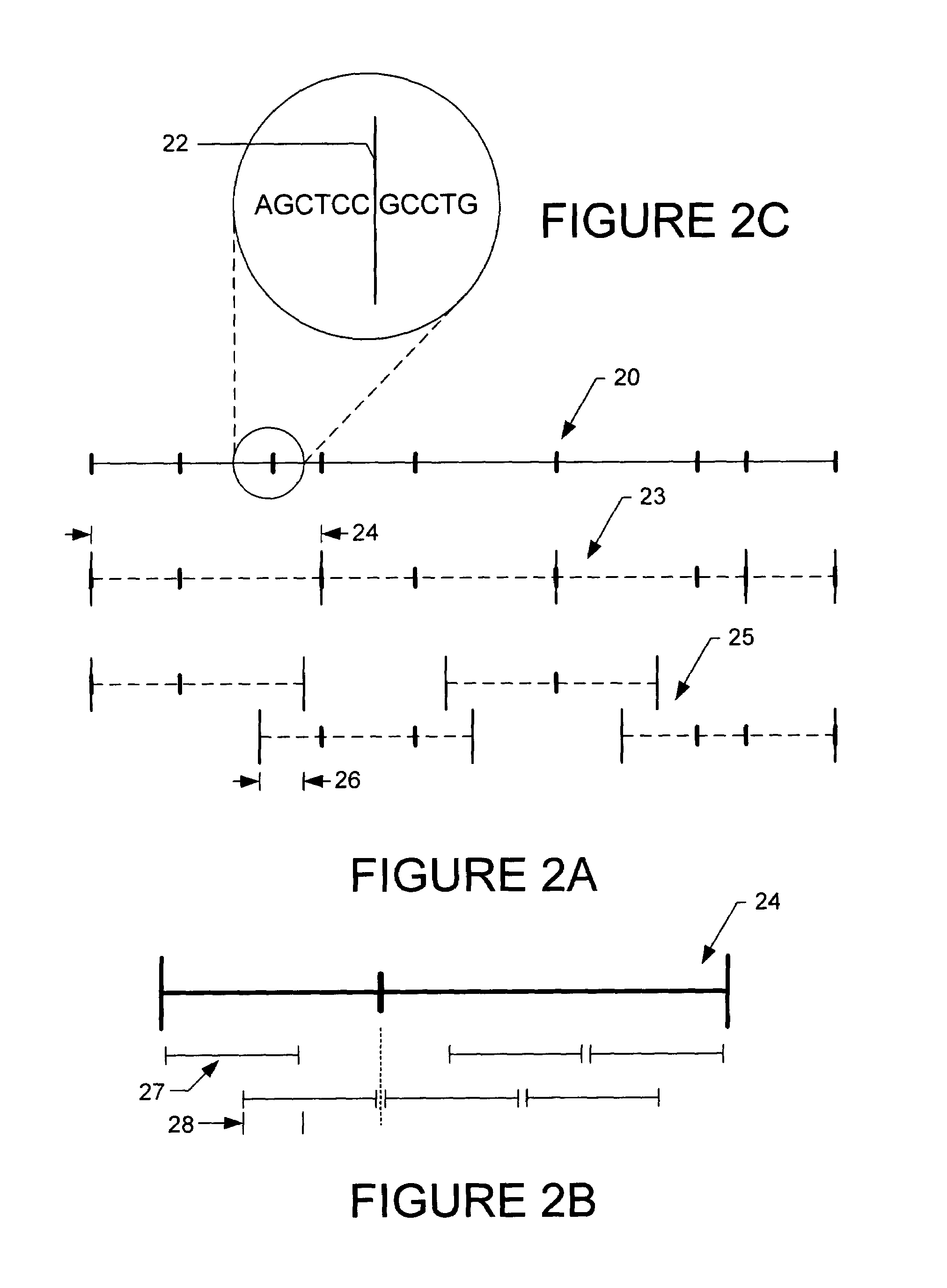 Apparatus and method for providing sequence database comparison