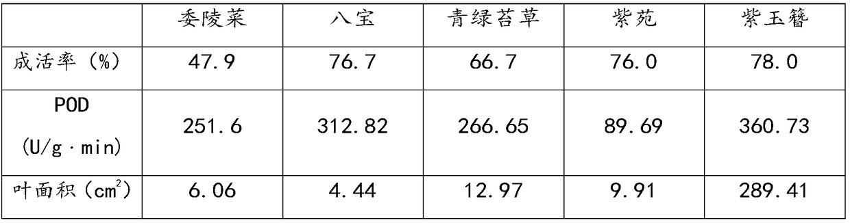 Soil improvement agent, preparation method, application and application method thereof