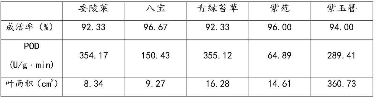 Soil improvement agent, preparation method, application and application method thereof