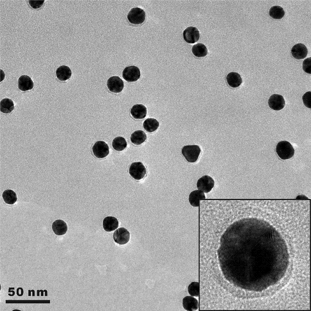 Glucose responsive gold nanoparticle and preparation method and application thereof