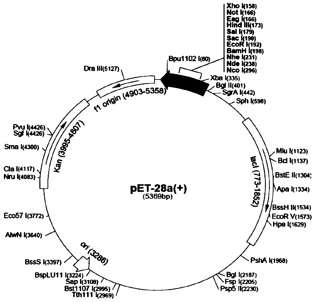 tsm1 polypeptide and its application in the preparation of anti-complement drugs