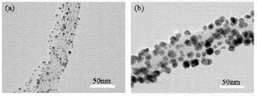 Method for preparing metal nano-particle modified polysaccharide wrapped carbon nano tube