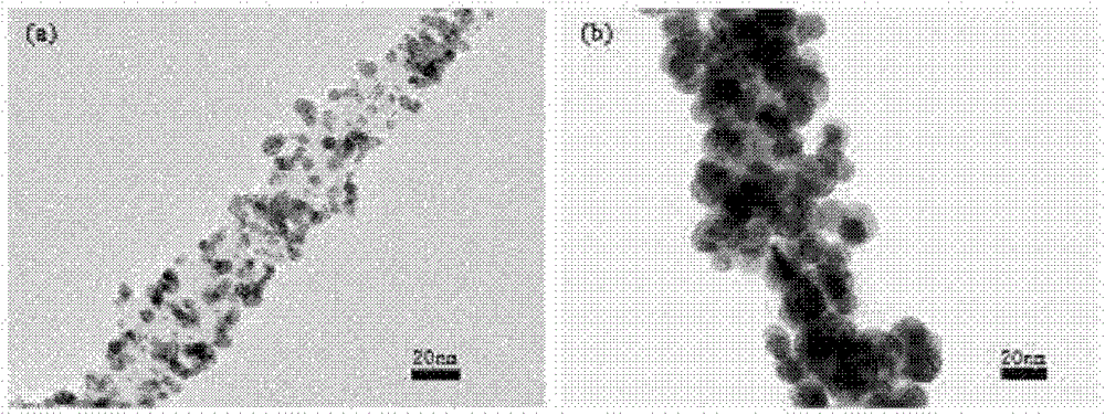 Method for preparing metal nano-particle modified polysaccharide wrapped carbon nano tube