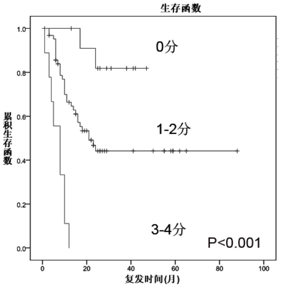 Prognosis grouping method, device and system for radical resection of primary liver cancer