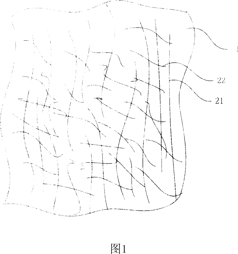 Conductive plastic and its processing method and apparatus