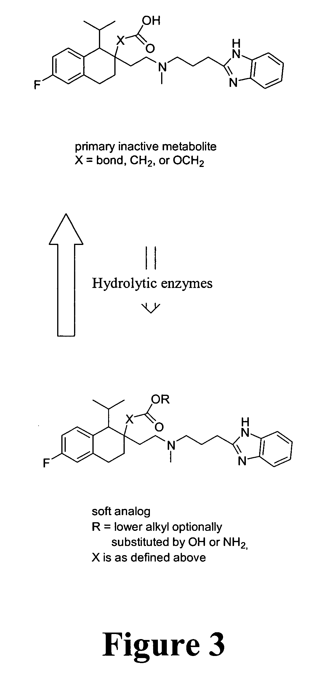 Materials and methods for the treatment of hypertension and angina