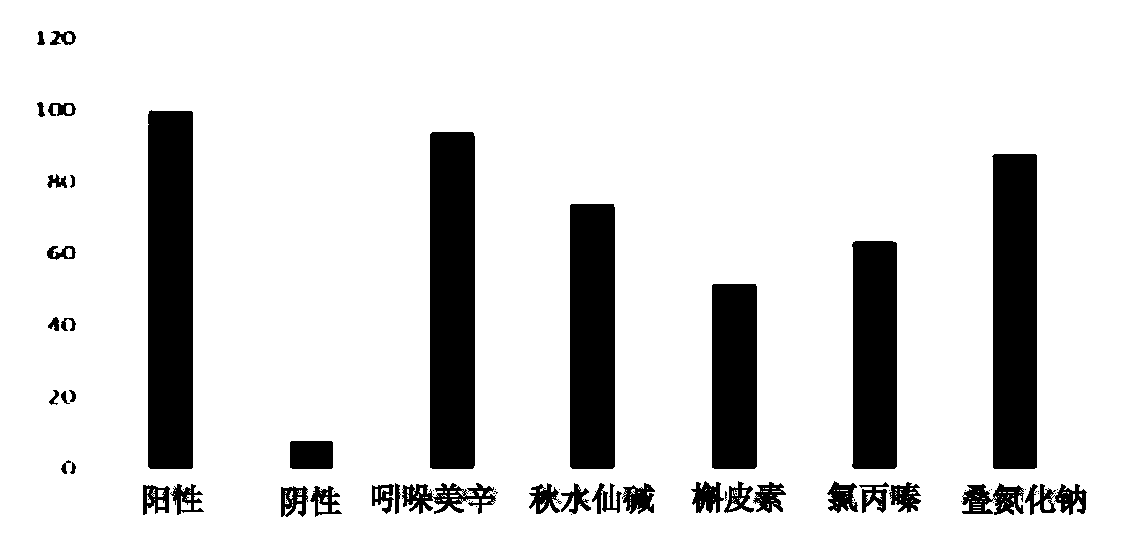 Paclitaxel oral polymeric micelle and preparation method and application thereof