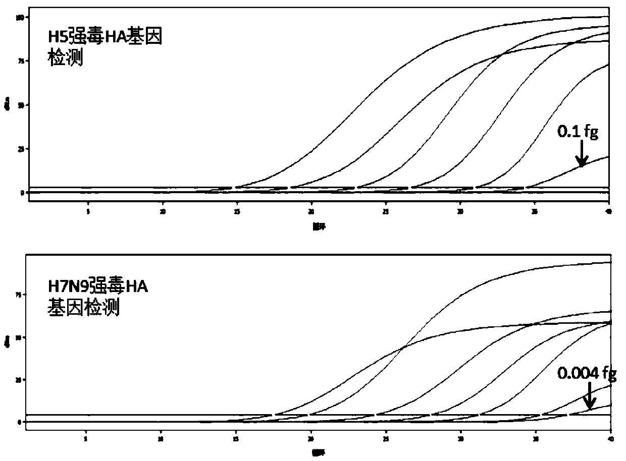 Detection method for H5 and H7N9 subtype high-pathogenicity avian influenza viruses