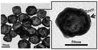 A core-shell gold nanoparticle with enhanced light-to-heat conversion effect