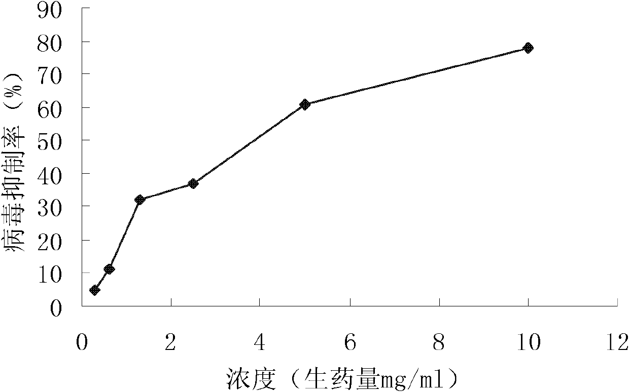 Sweet potato leaf extract and preparation method and use thereof