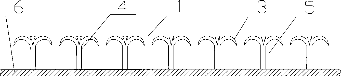 Irradiation type magic buckle and moulding method