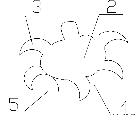 Irradiation type magic buckle and moulding method