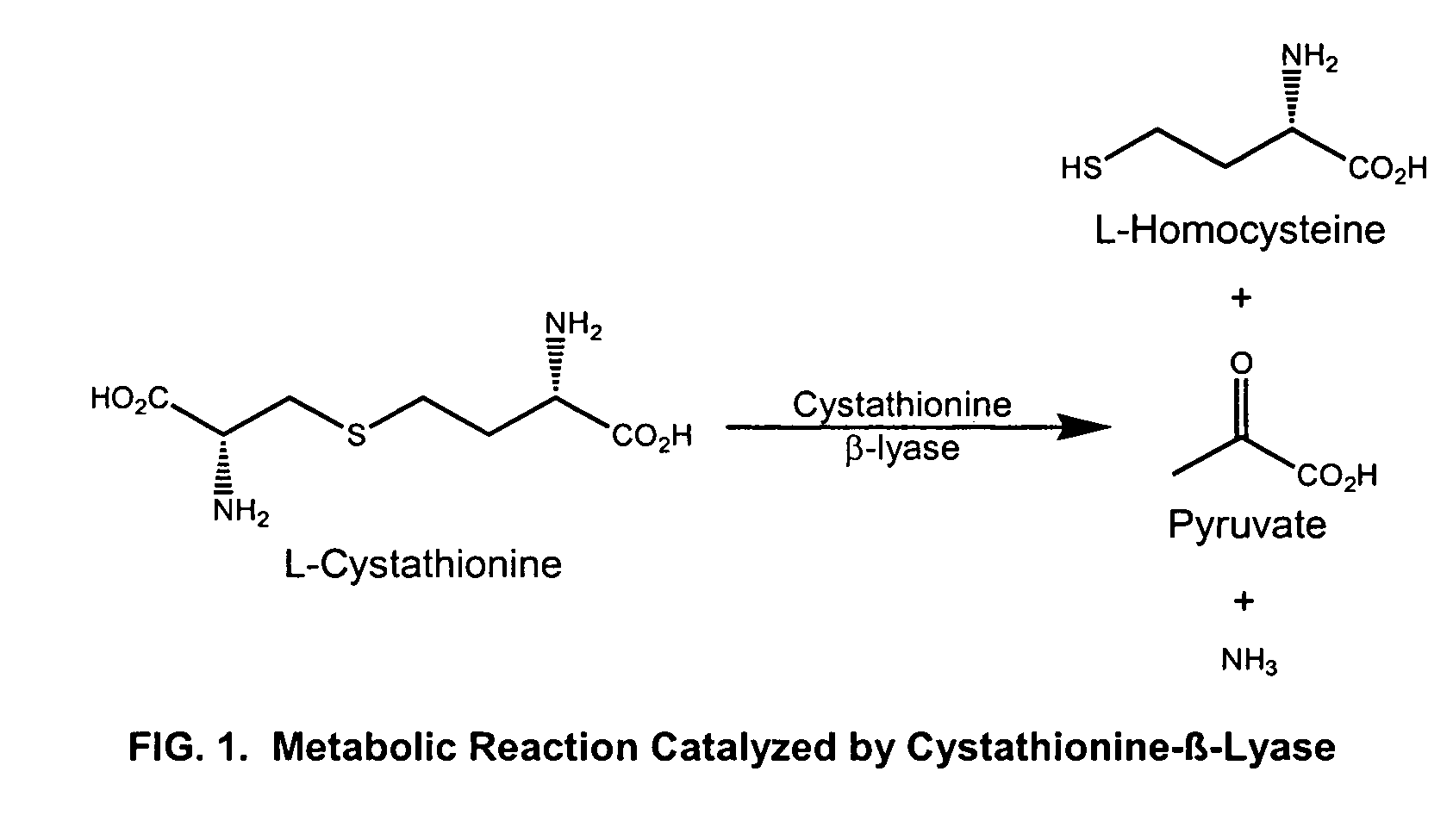 Methods for dissolving cystine stones and reducing cystine in urine