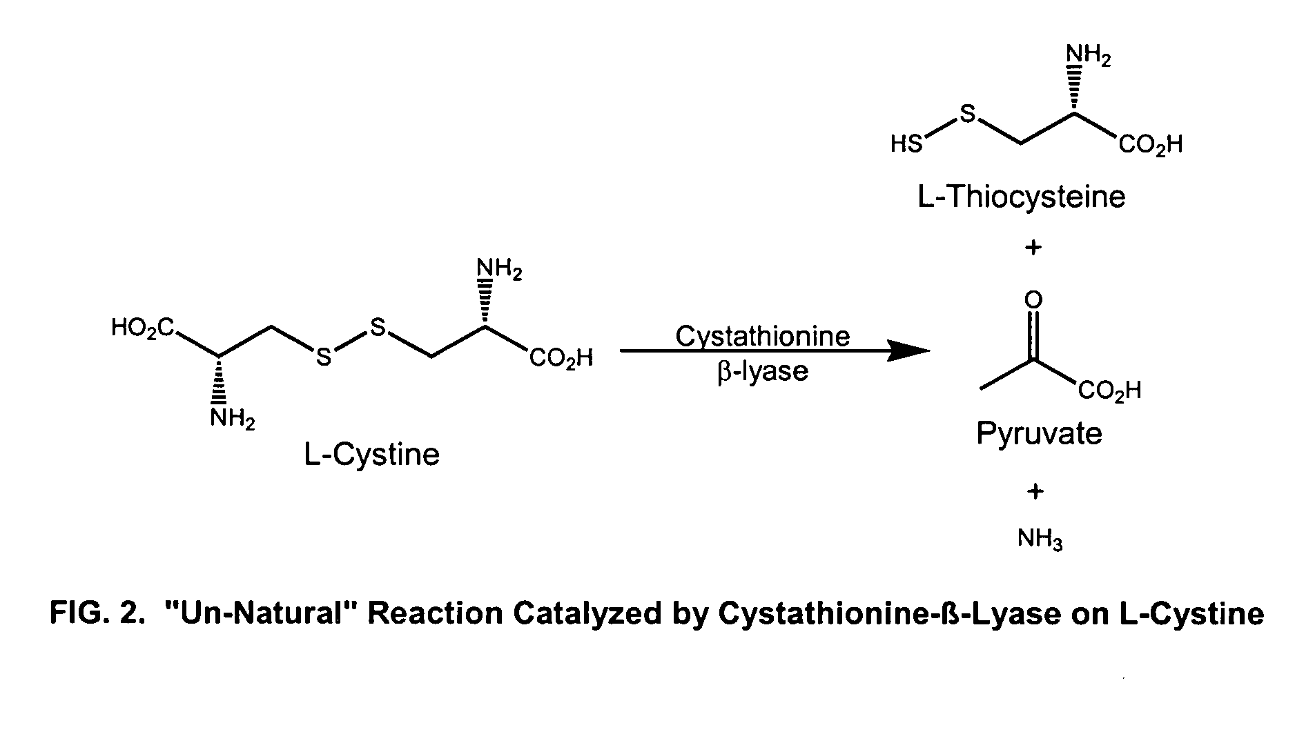 Methods for dissolving cystine stones and reducing cystine in urine