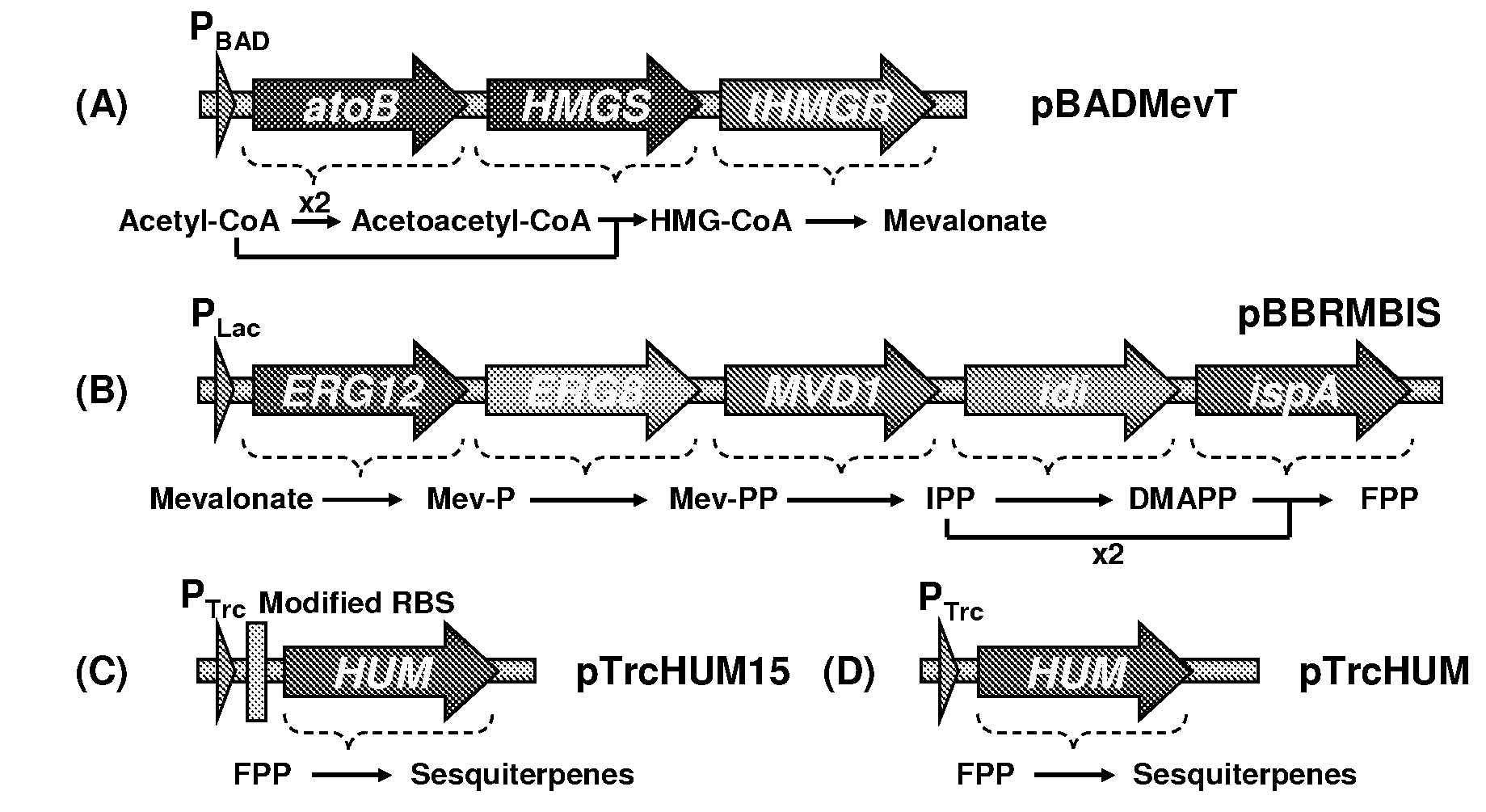 Methods of generating protein variants