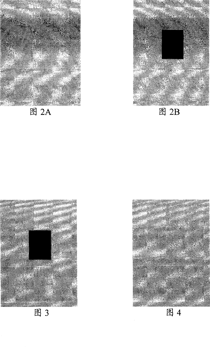 Method and device for embedding and recovering prime image from image with visible watermark
