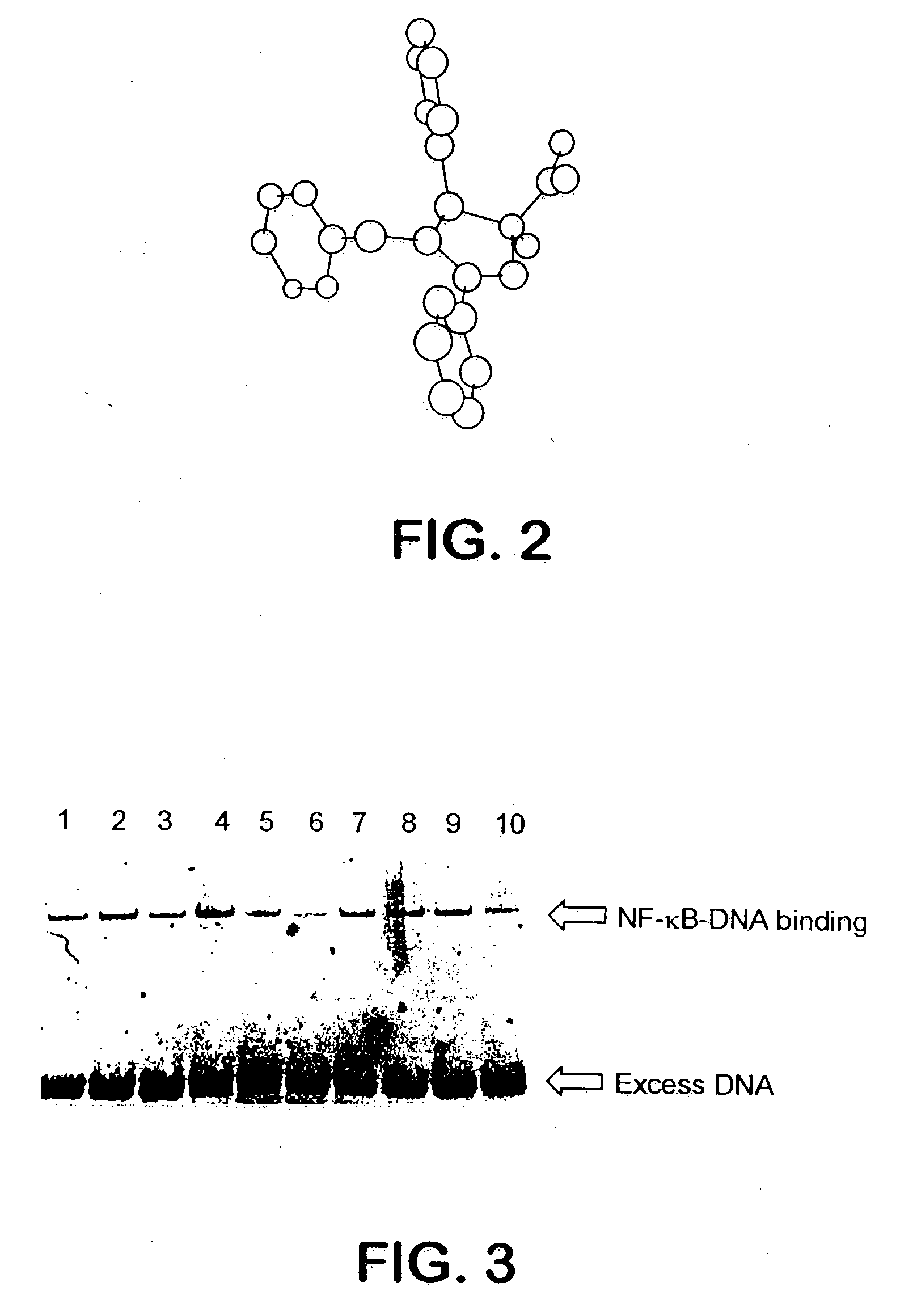 NF- kB Inhibitors And Uses Thereof