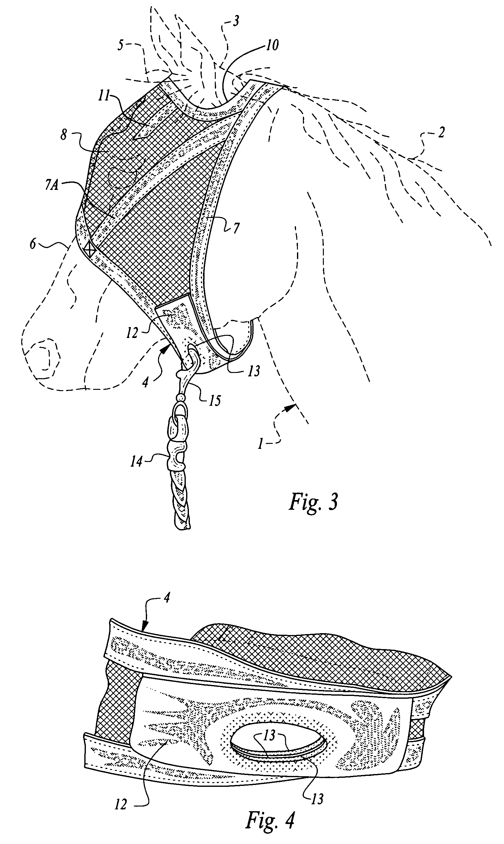 Protective mask and halter apparatus