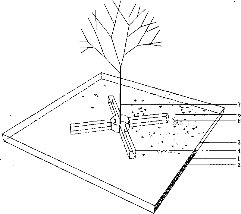 Construction method of grass-shrub mixed ecological hard vegetation module