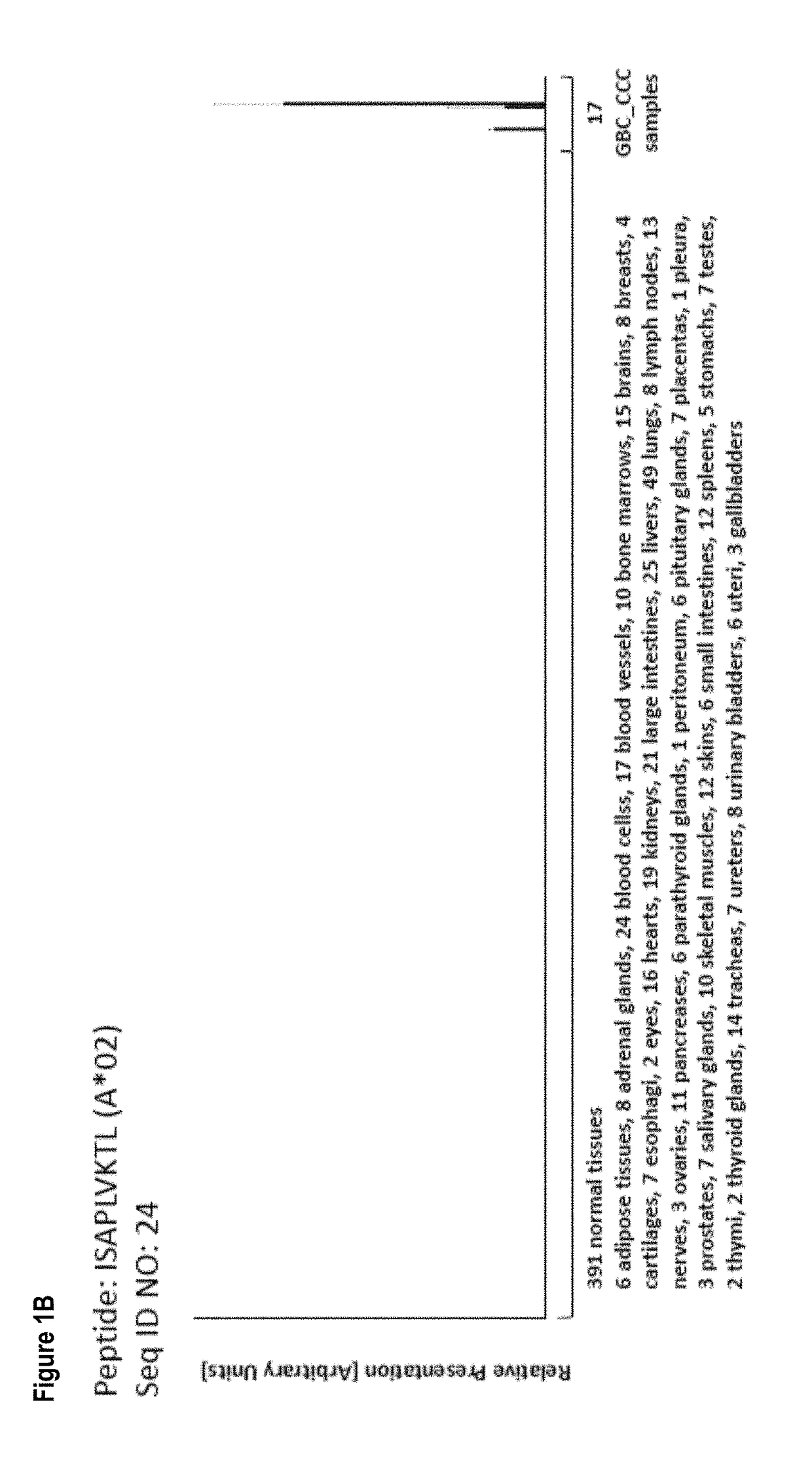 Novel peptides, combination of peptides as targets and for use in immunotherapy against gallbladder cancer and cholangiocarcinoma and other cancers