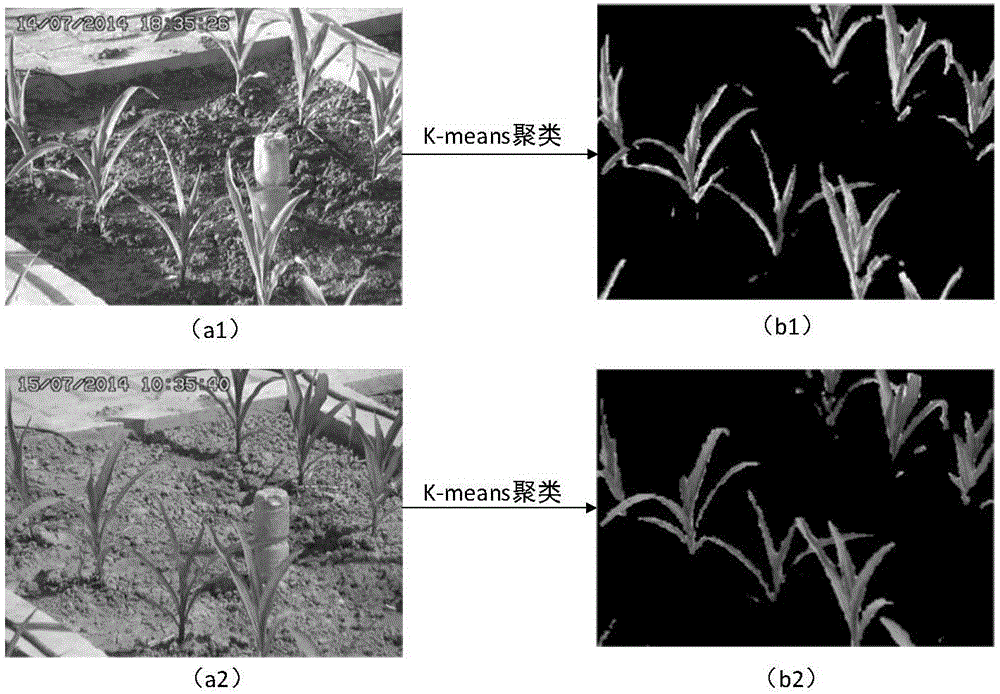 Multi-feature fusion-based drought identification method for corn early-stage image
