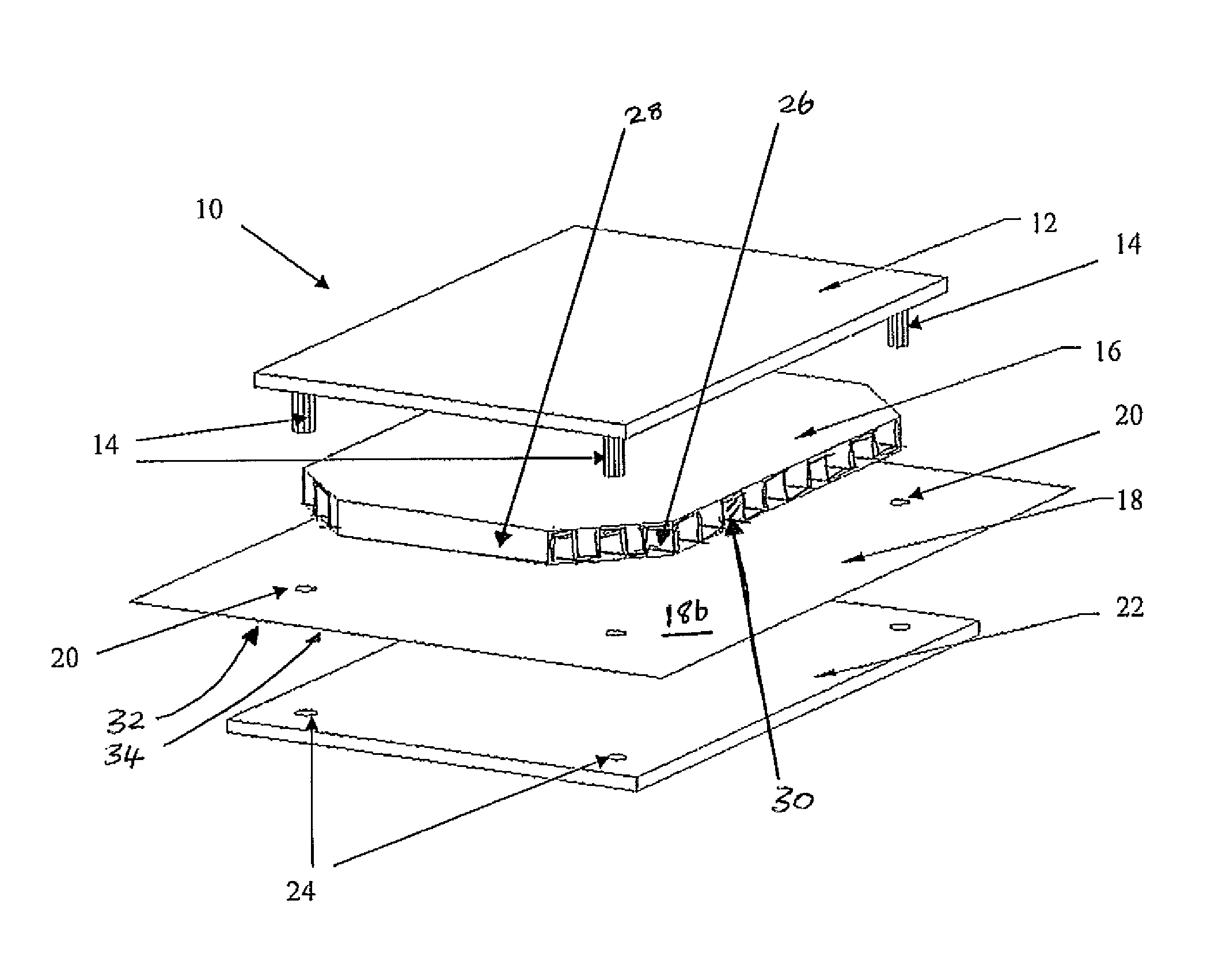Insect monitoring device and method of detection
