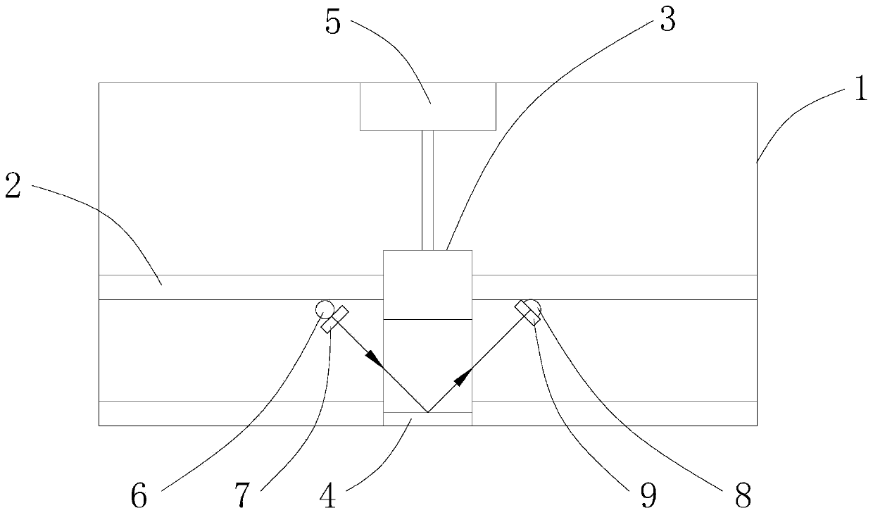 Bacterial culture detection method