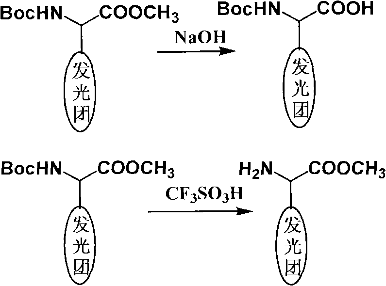 Coding molecule for marking biomolecule and preparing method thereof