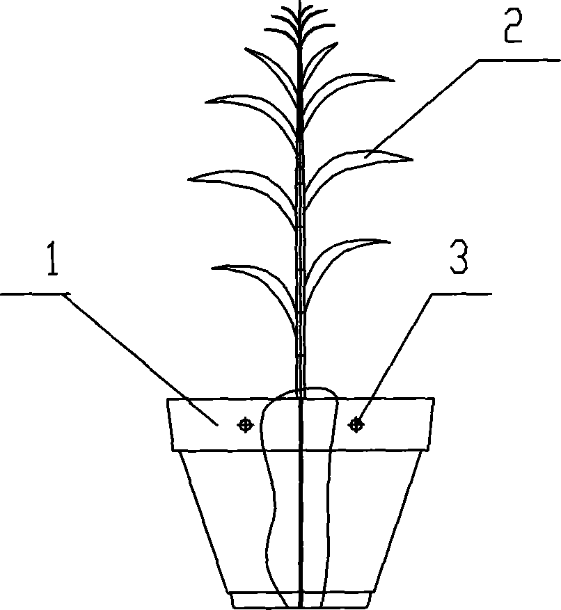 Double-tube drop-irrigation cotton partition plate pot