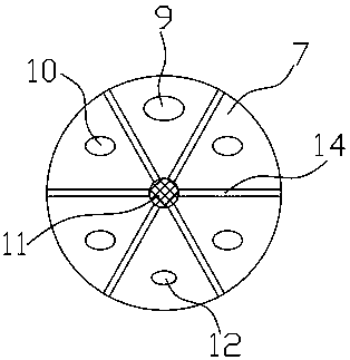 Convenient type amyda sincnsis dissecting device