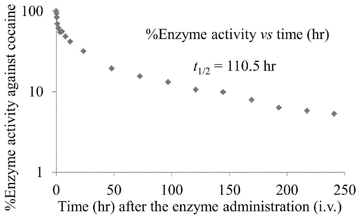 Cocaine hydrolase-FC fusion proteins for cocaine and methods for utilizing the same