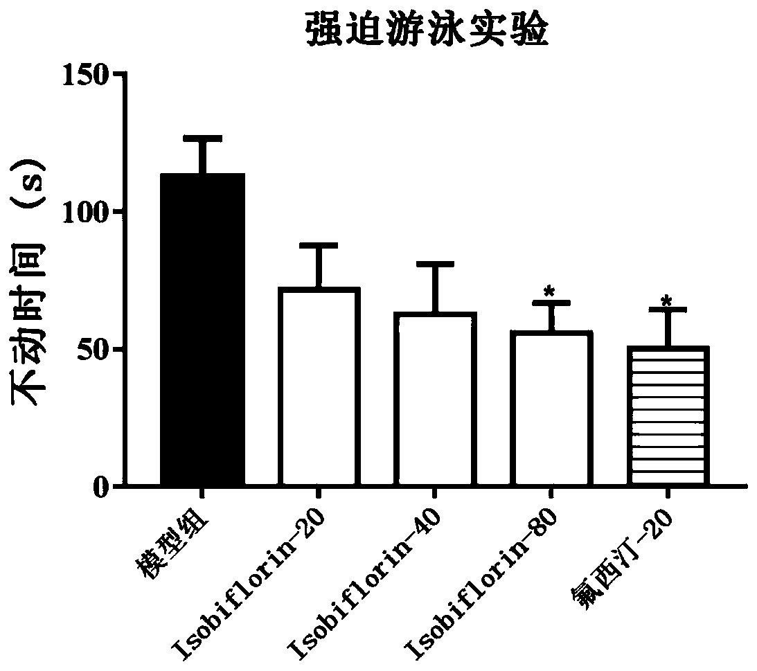 Application of isobiflorin or pharmaceutically acceptable salt of isobiflorin from qi-regulating medicine in preparation of antidepressant pharmaceutical composition